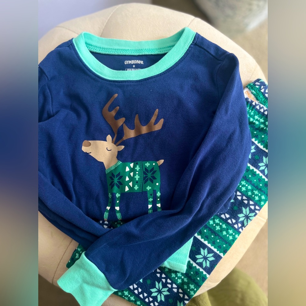 Gymboree boys pajamas with moose graphic design in blue/green